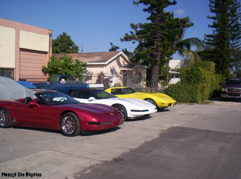 line-up-of-corvettes